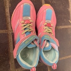 【値下げ】靴　瞬足　22.5センチ