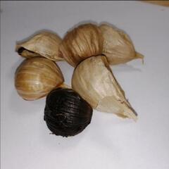 青森県産　黒にんにく