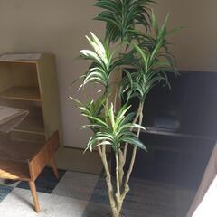 【受付終了】観葉植物（造花）