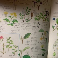 本/CD/DVD 語学、辞書の画像