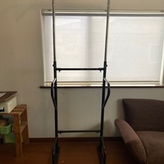 ぶら下がり健康機