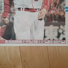 デイリースポーツ前田智徳引退特集号の画像