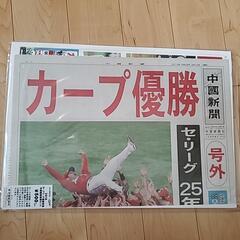 2016カープ優勝記念中国新聞特別セット