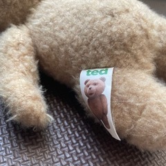 テッド　Tedの画像