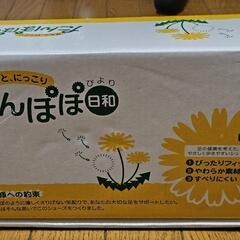 たんぽぽシリーズシューズたんぽぽ日和の画像