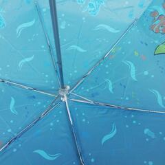 ディズニードリー雨傘の画像