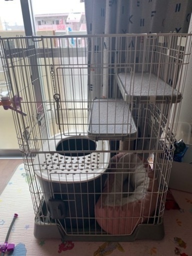 猫ゲージセット