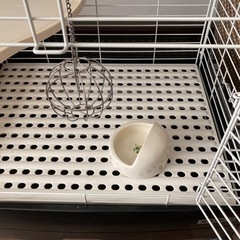 うさぎのケージの画像