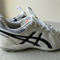 トレーニングシューズの画像