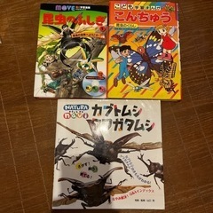 図鑑 カブトムシ・クワガタ&昆虫のふしぎ&こんちゅう 3冊