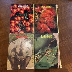 図鑑 4冊 植物・魚貝・動物・昆虫