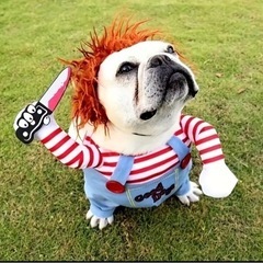 犬の服　チャッキーXL