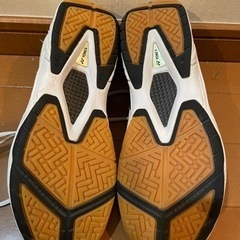 バドミントンシューズの画像