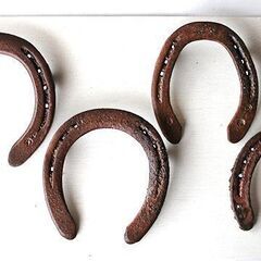 馬の蹄鉄　縁起物にどうぞ　★５個　幸運を呼び込むお守り 　衝突防...