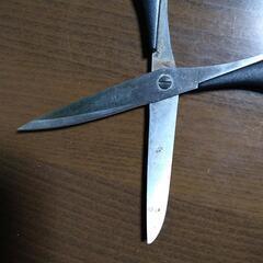 左利き用ハサミの画像