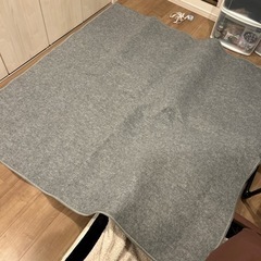 決定　ホットカーペット　2畳用　1000円or物々交換可