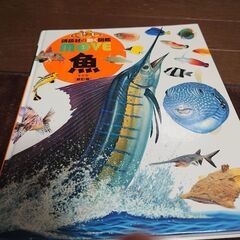 動く図鑑　MOVE　魚の画像