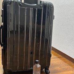 キャリーバッグの画像
