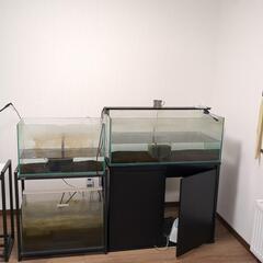 北海道 札幌市の90センチ水槽の中古が安い！激安で譲ります