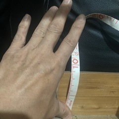 美品　おかもち　骨董品　ピクニックバスケット　アウトドア　キャンプ　昭和レトロ　盆栽の画像
