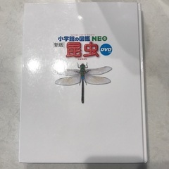 小学館の図鑑　昆虫の画像