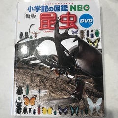 小学館の図鑑　昆虫