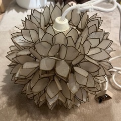 【最終値下げ1/22破棄予定】シェルフラワーライト　Shell ...