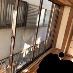 □窓、サッシクリーニング□1月ご予約受付中□