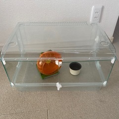 ハムスターケージの画像