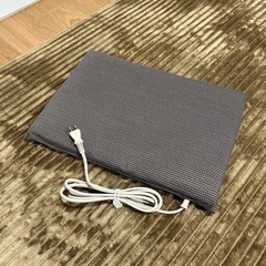〓取引決定〓【ほぼ新品】大判ソフト電気あんか