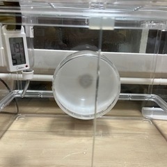 ハムスター　ケージの画像