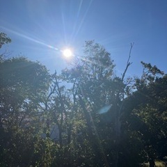 犬連れ🏕️平日友達募集 - 那覇市