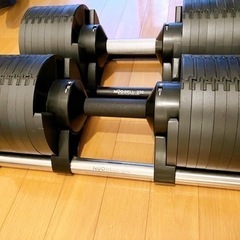 【引渡し予定者決定済】フレックスベル可変式32kg×2の画像