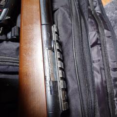 VSR-10　リアルウッドの画像