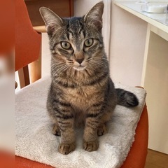 ちくわくん♂６ヶ月甘えん坊のぼきゅをよろしく
