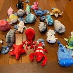 クレーンゲーム　マリンパーク　キラキラぬいぐるみ　22種類
