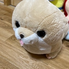 ぬいぐるみの画像