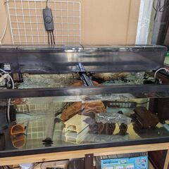 90水槽セット
