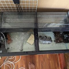 90水槽セット