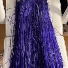 フラ　モレ　紫色
