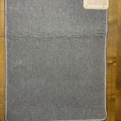 ミニホットカーペット 62×77cm ナショナル DC-P5の画像