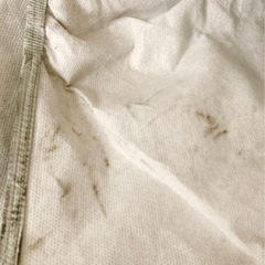 60 ハリアー  COVERITE カーカバーの画像