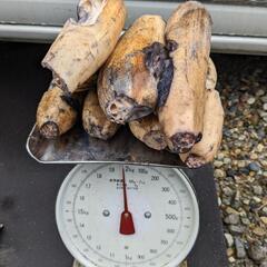 レンコン2kg 備中 傷あり 
