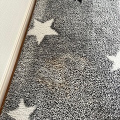 決まってますの画像