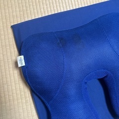 トゥルースリーパーの画像