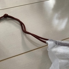 あげます　UNITEDARROWS不織布巾着袋の画像