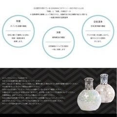 アシュレイアンドバーウッド　フレグランスオイル　フェスティヴフィズの画像