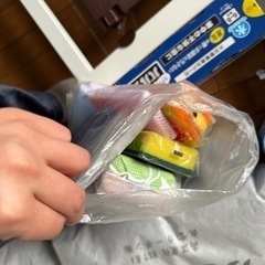 スポンジ