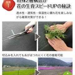 【特殊な　防草＋植栽シート】らくらく草なしシート