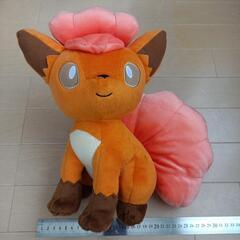ロコン